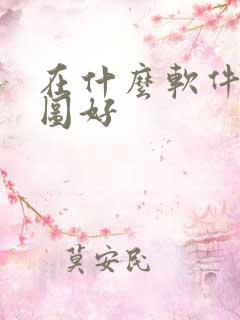 在什么软件上p图好
