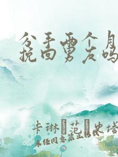 分手两个月还能挽回男友吗