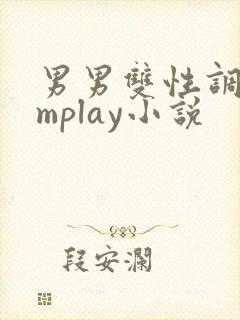 男男双性调教smplay小说
