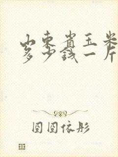 山东省玉米现在多少钱一斤