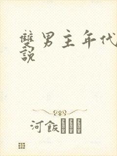 双男主年代文小说