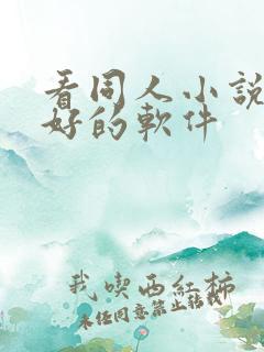 看同人小说比较好的软件