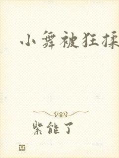 小舞被狂揉下部