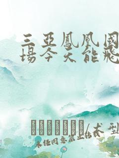 三亚凤凰国际机场今天能飞吗