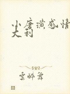小唐璜感情史意大利 小唐璜感情史意大利