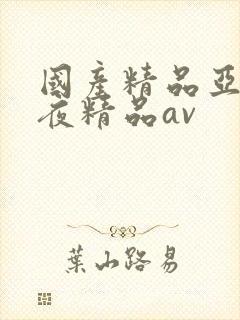 国产精品亚洲午夜精品av