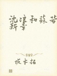 沈浪和苏若雪最新章