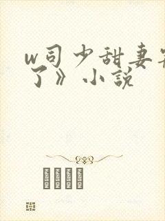 w司少甜妻宠定了》小说