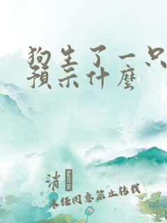 狗生了一只小狗预示什么