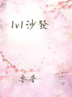 1v1沙发
