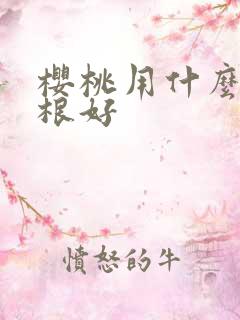 樱桃用什么肥生根好