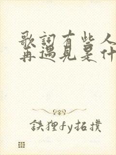 歌词有些人不会再遇见是什么歌
