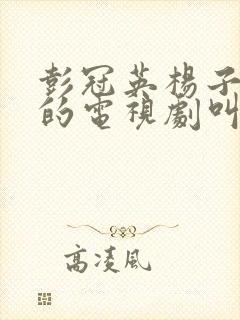 彭冠英杨子姗演的电视剧叫什么