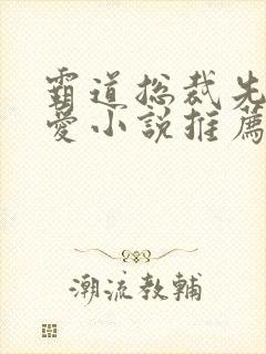 霸道总裁先婚后爱小说推荐