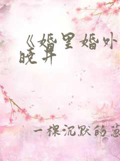 《婚里婚外》叶晓井 《婚里婚外》叶晓井