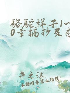 骆驼祥子1~10章摘抄及感悟