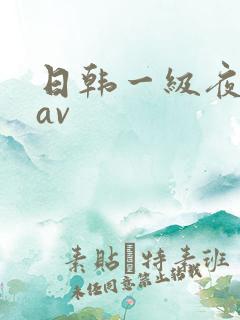 日韩一级夜夜爽av
