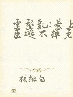 云鬓乱:惹上奸臣逃不掉免费完整版