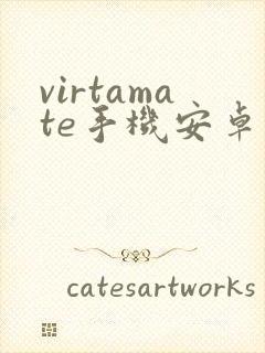 virtamate手机安卓下载