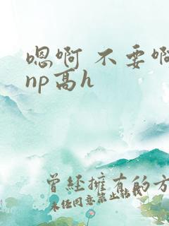 嗯啊 不要啊 np高h