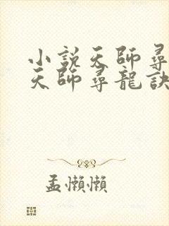 小说天师寻龙诀天师寻龙诀