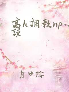 高h调教np小说