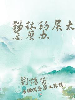 猫拉的屎太臭了怎么办