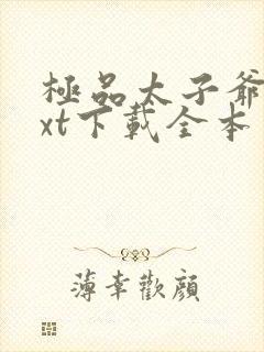 极品太子爷 txt下载全本