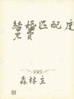 结婚匹配度测试免费