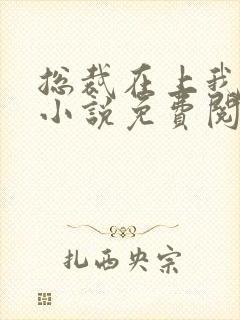 总裁在上我在下小说免费阅读