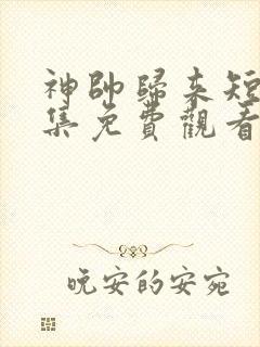 神帅归来短剧全集免费观看