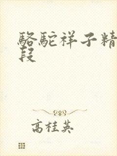 骆驼祥子精彩句段