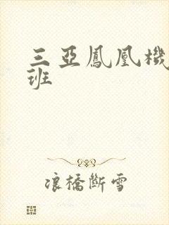 三亚凤凰机场航班