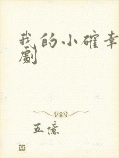 我的小确幸电视剧