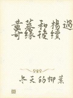 黄蓉和杨过荒岛奇缘后续
