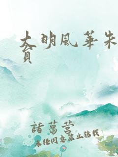 大明风华朱棣演员