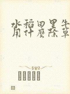水稻田里牛筋草用什么除草剂