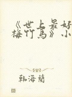 《世上最好的青梅竹马》小说