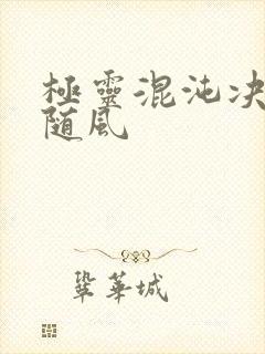 极灵混沌决若雨随风