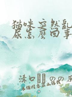 猫咪突然乱拉乱尿怎么回事,以前不会