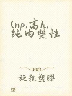 (np,高h,纯肉双性