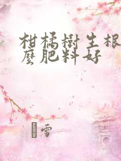 柑橘树生根用什么肥料好