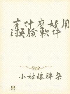 有什么好用的ai换脸软件