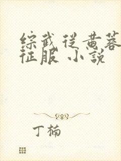 综武从黄蓉开始征服 小说