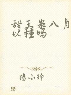 甜玉米八月份可以种吗