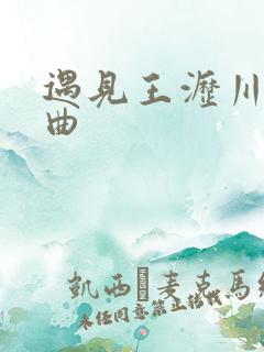 遇见王沥川 歌曲