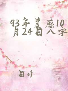 93年农历10月24日八字