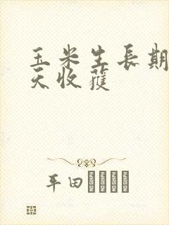 玉米生长期多少天收获 玉米生长期多少天收获