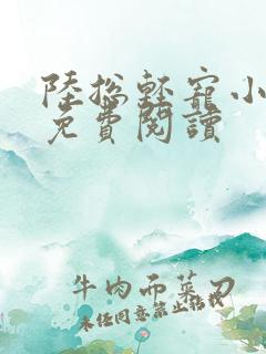陆总轻宠小甜妻免费阅读