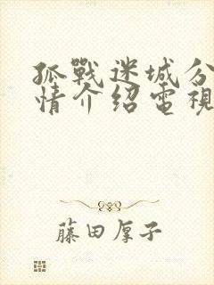 孤战迷城分集剧情介绍电视猫